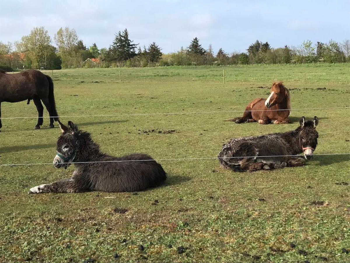 Bb-Vadehavet Ferielejlighed Til 6 Personer Ved Nationalpark Vadehavet Ribe Kültér fotó