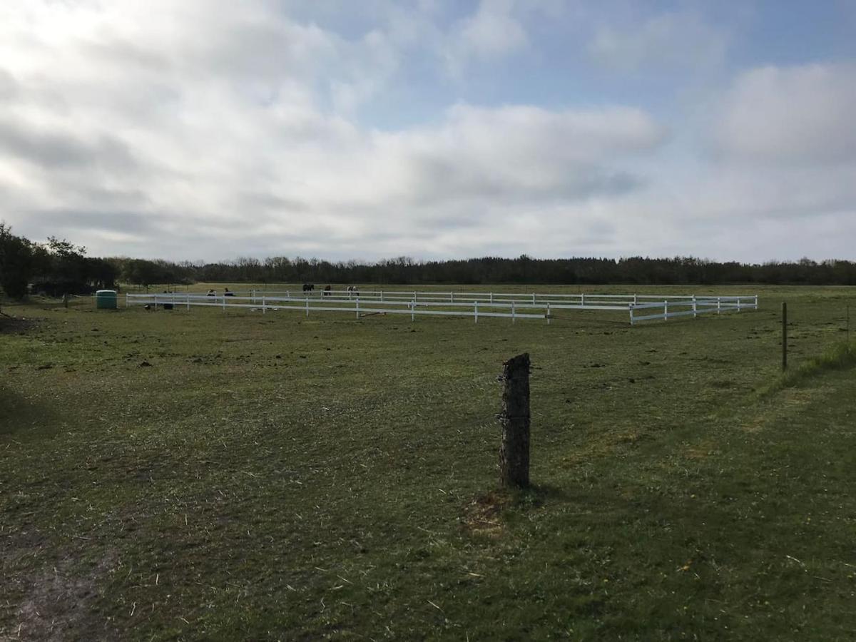 Bb-Vadehavet Ferielejlighed Til 6 Personer Ved Nationalpark Vadehavet Ribe Kültér fotó